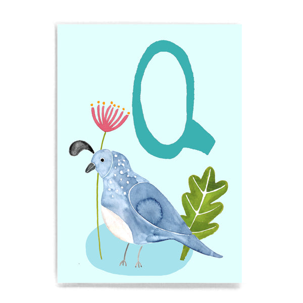 ABC Karte "Q for Quail“